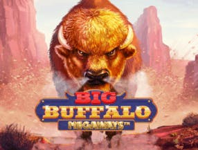 game logo by Skywind Group on vegasinos.eu