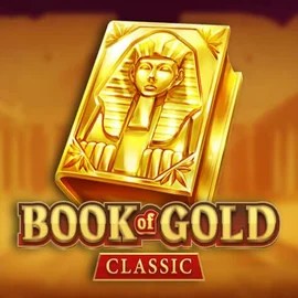 game logo by Playson on vegasinos.eu