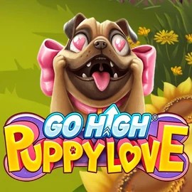 game logo by RubyPlay on vegasinos.eu